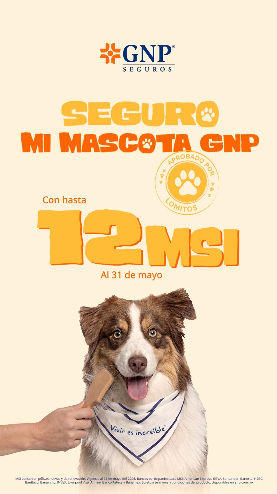 Promoción Seguro Mi Mascota GNP — 12 MSI al 31 de mayo